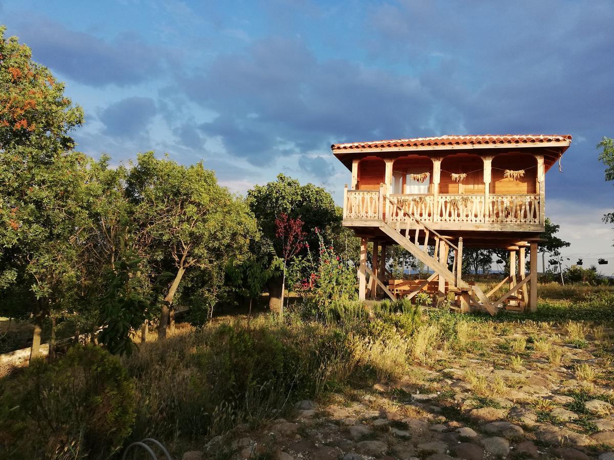 Yasayan Koy Hotel Kizilcasogut Exterior photo